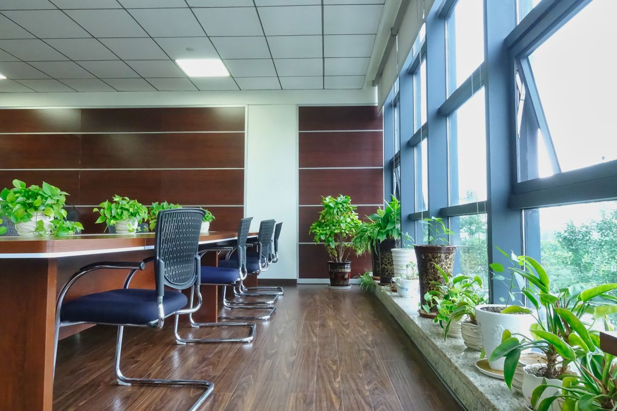 這才叫綠色環(huán)保，四川博水環(huán)保辦公室盛夏綠意